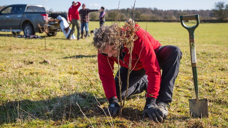Volunteer tree planting on tenant farmland at Lodge Park, Gloucestershire